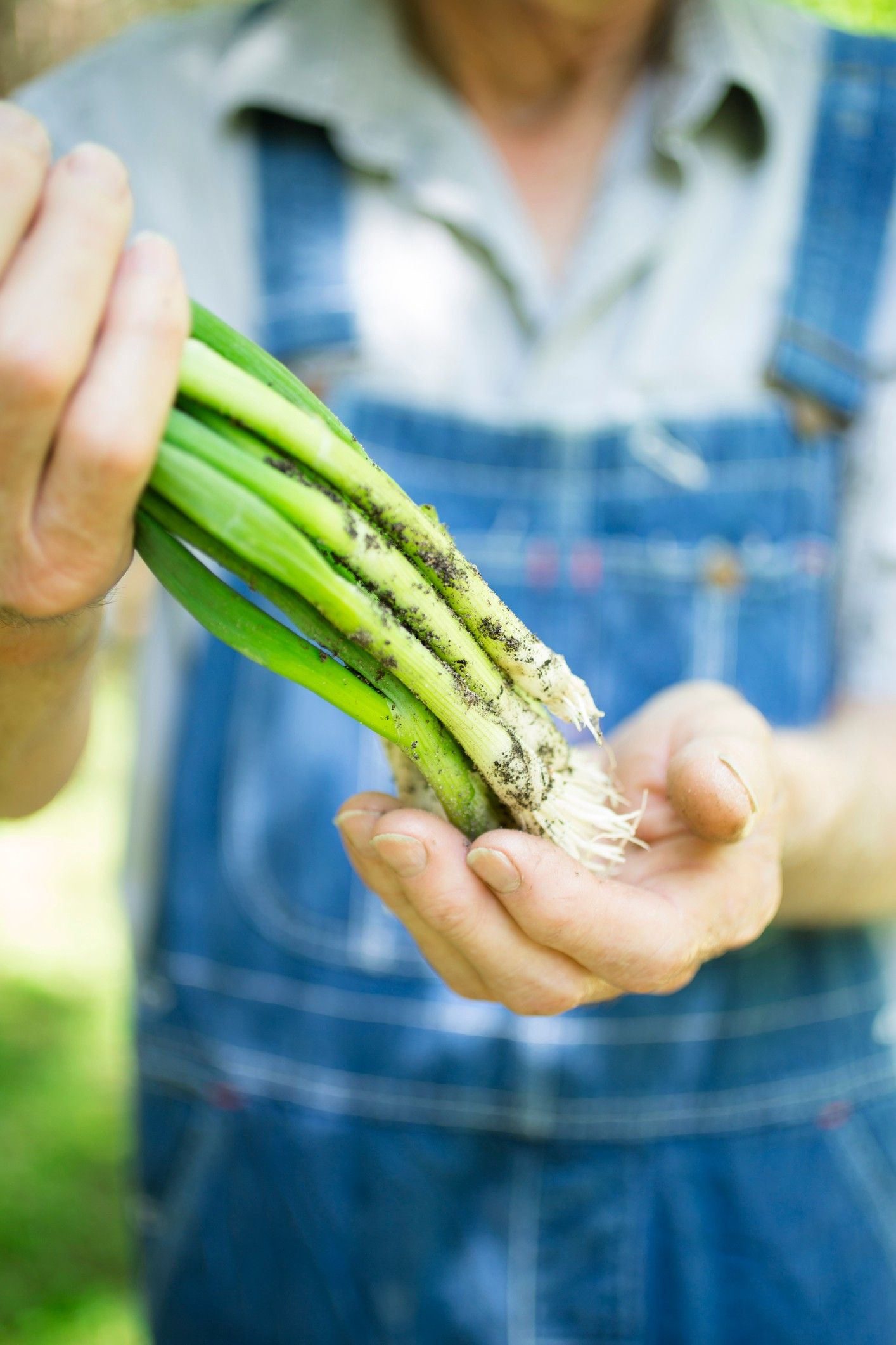 Soil-based organisms provide many health benefits! Soil-based organisms provide many health benefits!