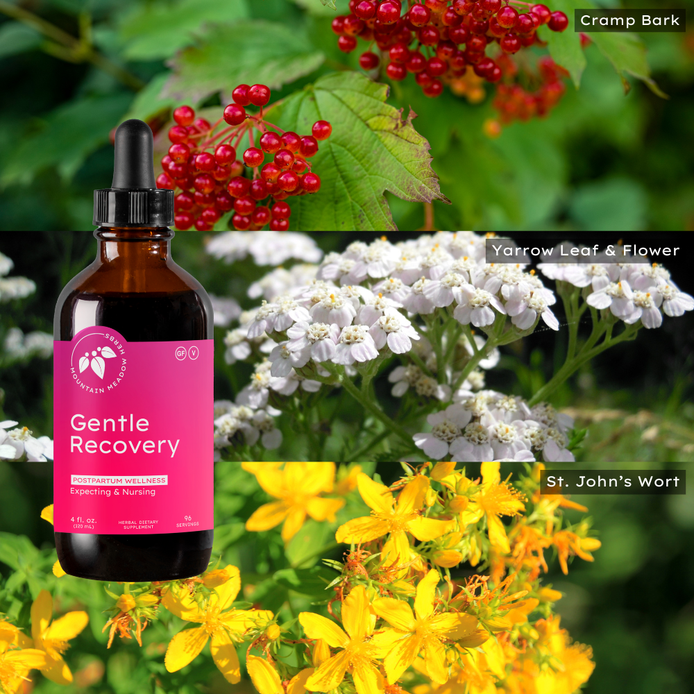 Gentle Recovery (After-Pain Relief) (4 oz.)