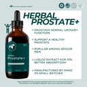 Herbal Prostate+ (4 oz.) (formerly Prostract 10)
