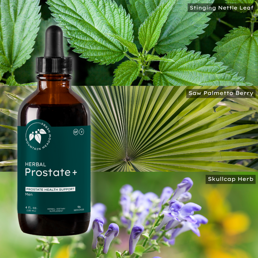Herbal Prostate+ (4 oz.) (formerly Prostract 10)