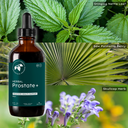 Herbal Prostate+ (4 oz.) (formerly Prostract 10)
