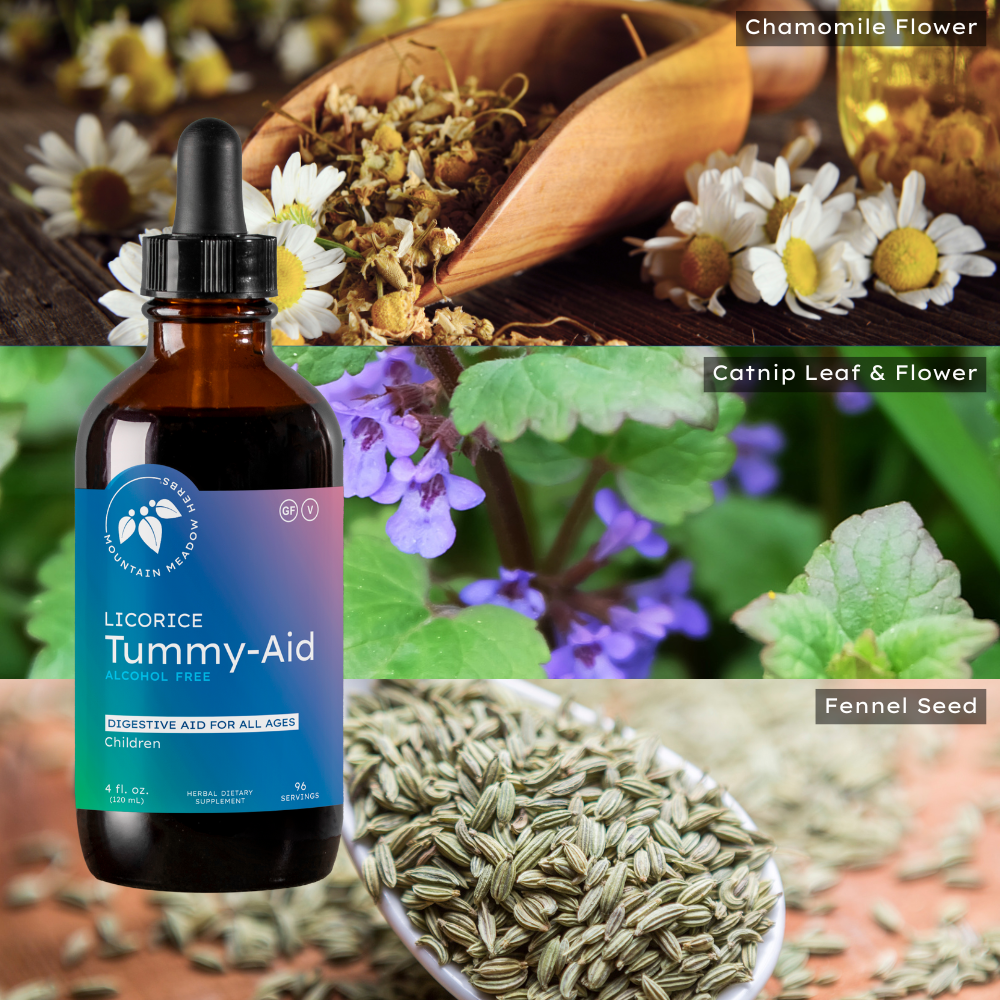 Licorice Tummy-Aid (4 oz.)