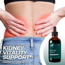 Kidney Toner Formula (4 oz.)