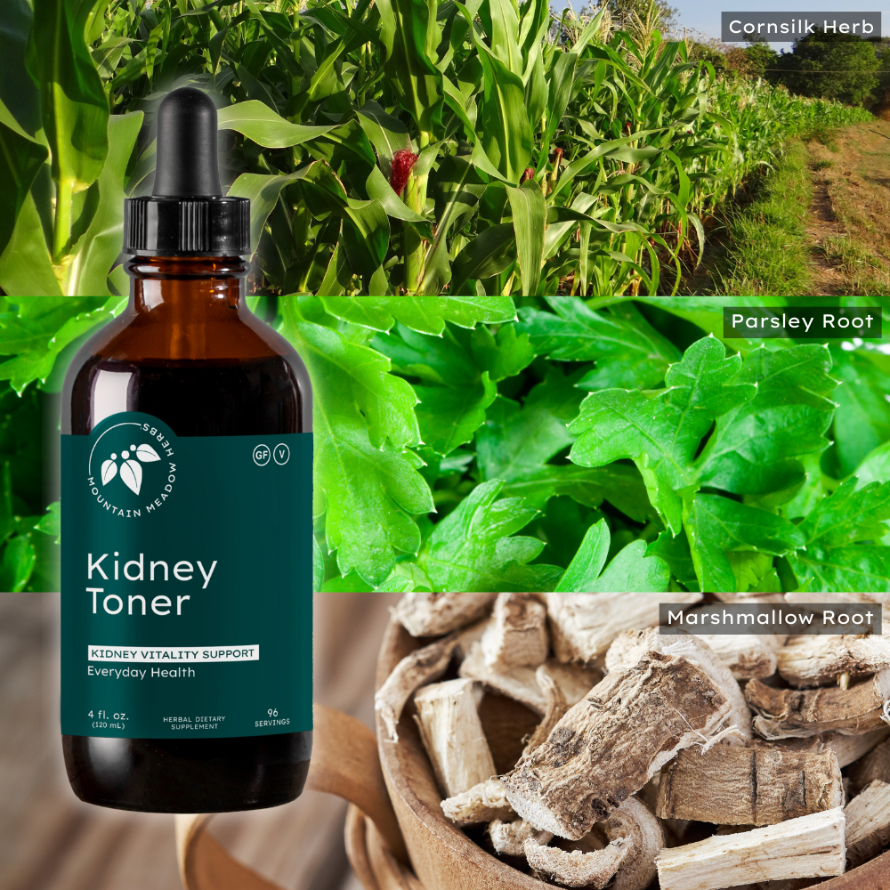 Kidney Toner Formula (4 oz.)