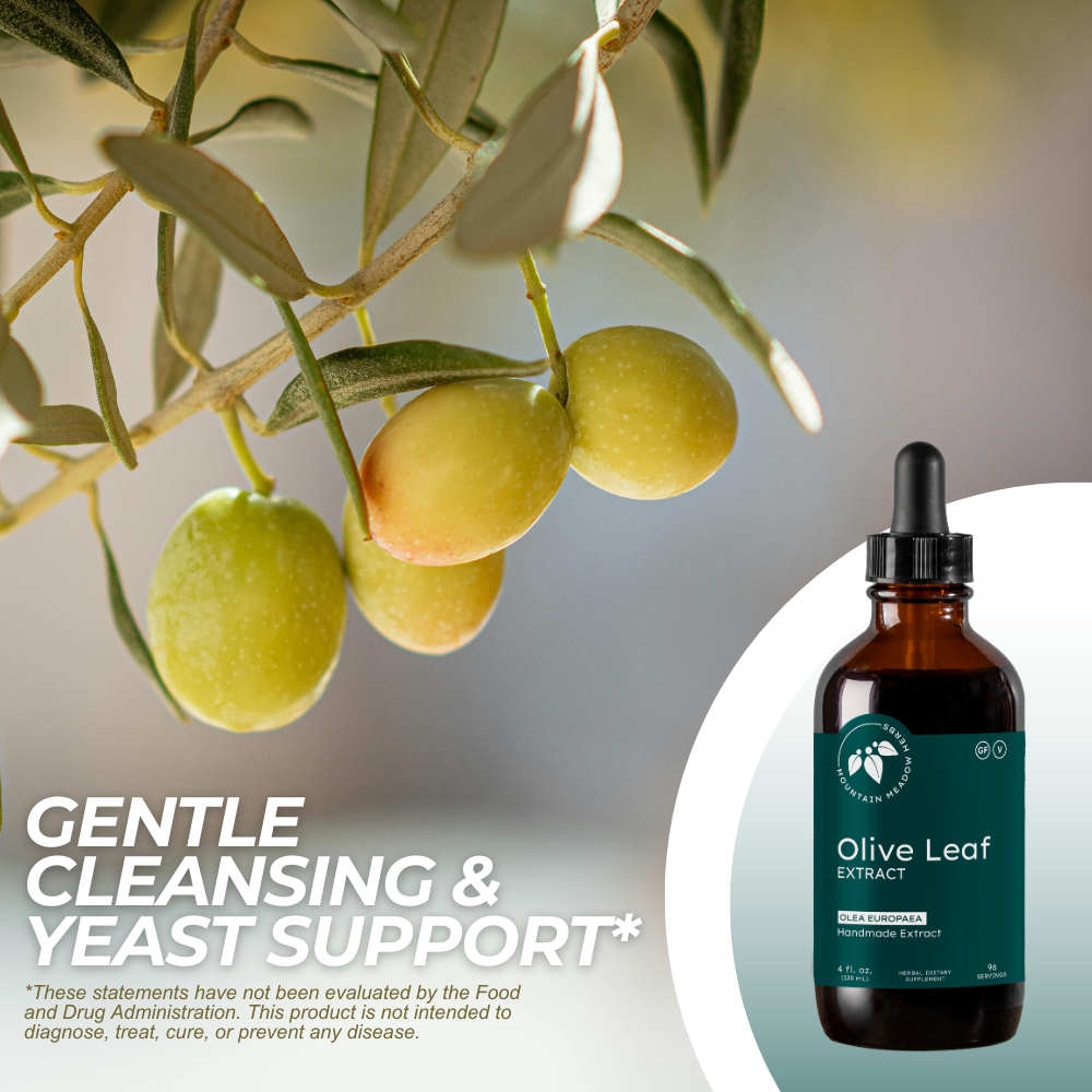 Olive Leaf Extract (4 oz.)