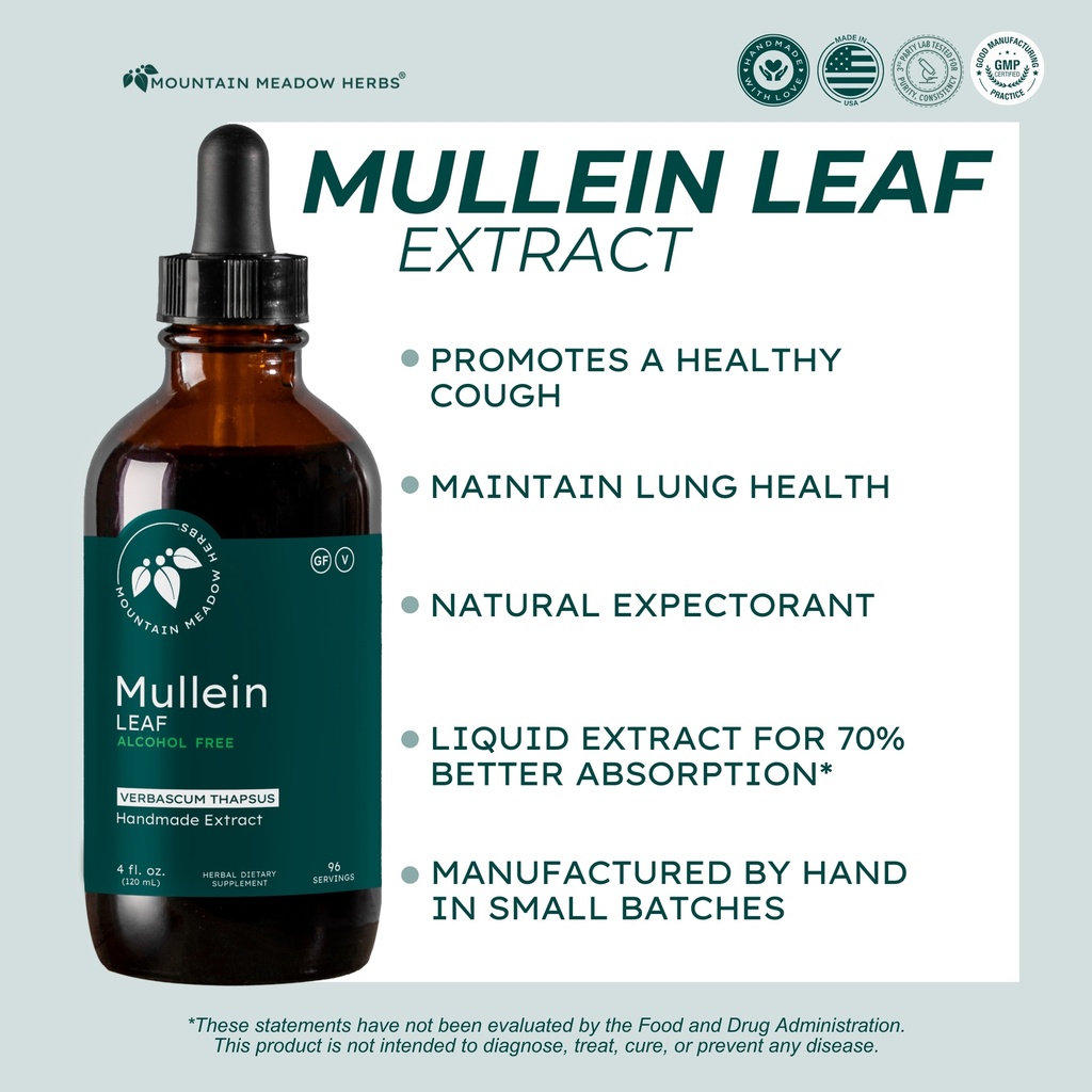 Mullein Leaf Extract (4 oz.)