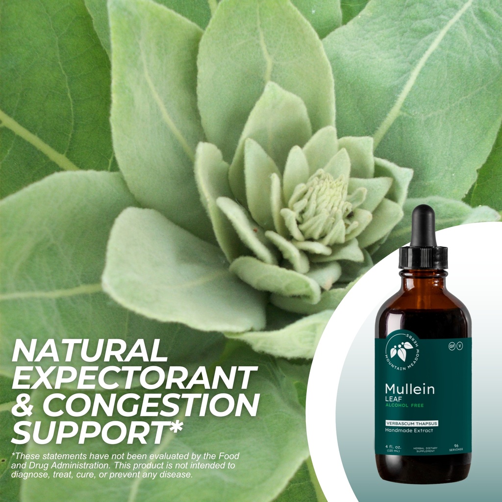 Mullein Leaf Extract (4 oz.)