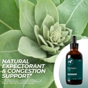 Mullein Leaf Extract (4 oz.)