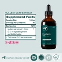 Mullein Leaf Extract (4 oz.)