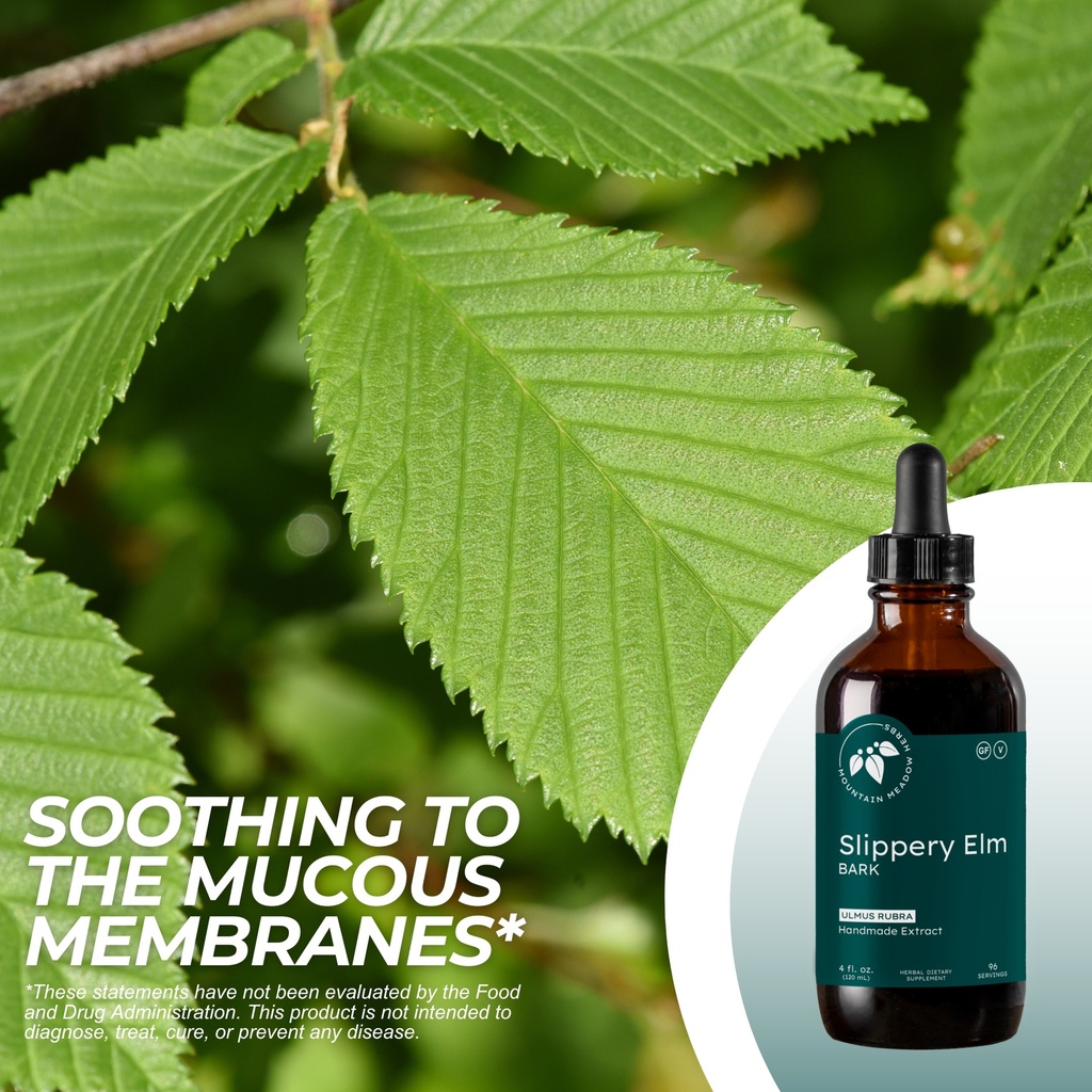 Slippery Elm Extract (4 oz.)