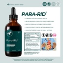 ​Intestinal Detox Package