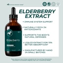 Elderberry Extract (4 oz.)﻿