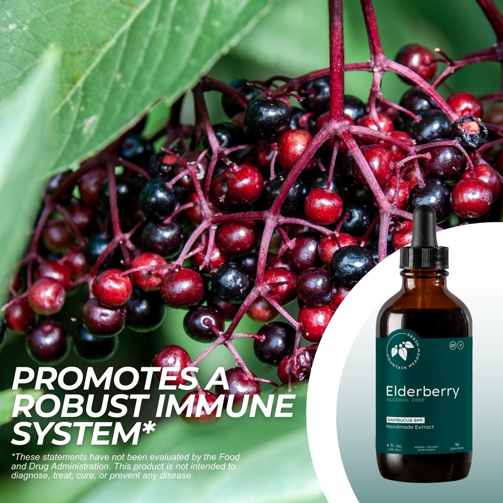 Elderberry Extract (4 oz.)﻿