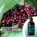 Elderberry Extract (4 oz.)﻿