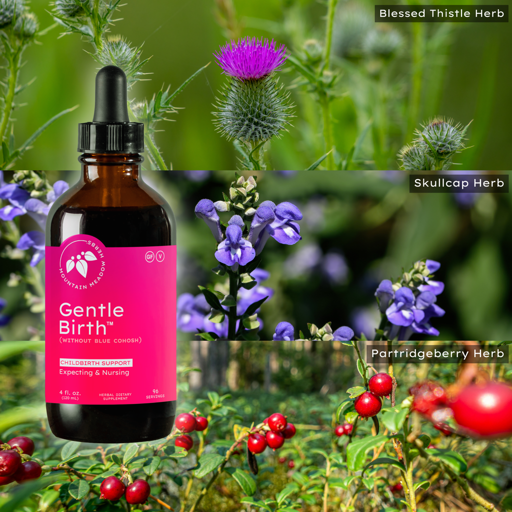 Gentle Birth (without Blue Cohosh) (4 oz.)