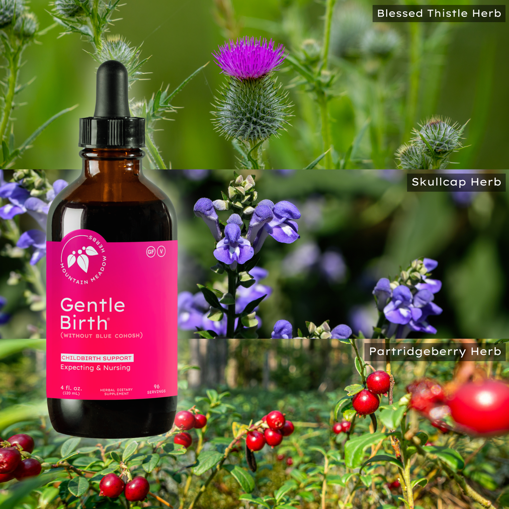 Gentle Birth (without Blue Cohosh) (4 oz.)