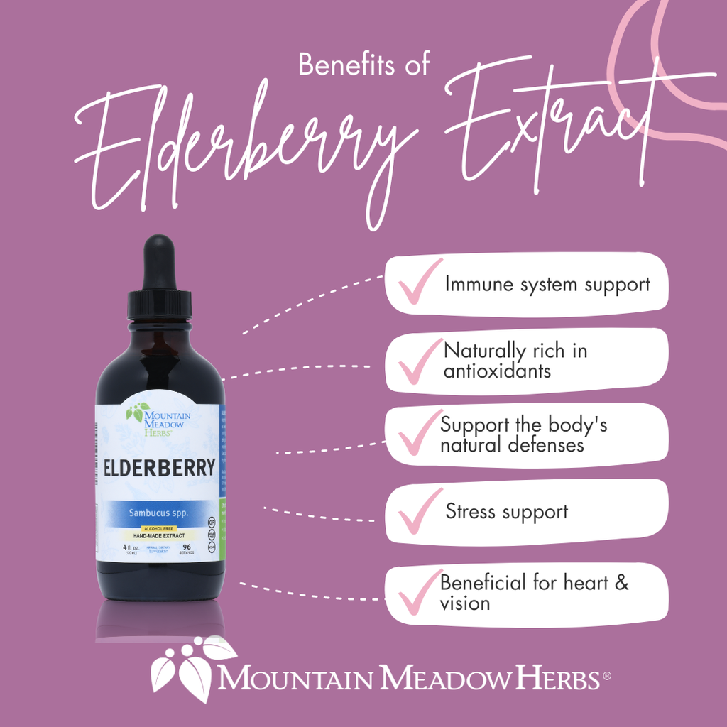 Elderberry Extract (4 oz.)