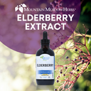 Elderberry Extract (4 oz.)