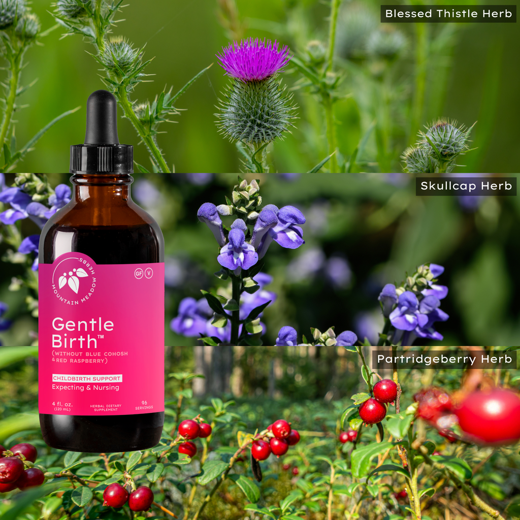 ﻿Gentle Birth (without Blue Cohosh or Red Raspberry) (4 oz.)﻿
