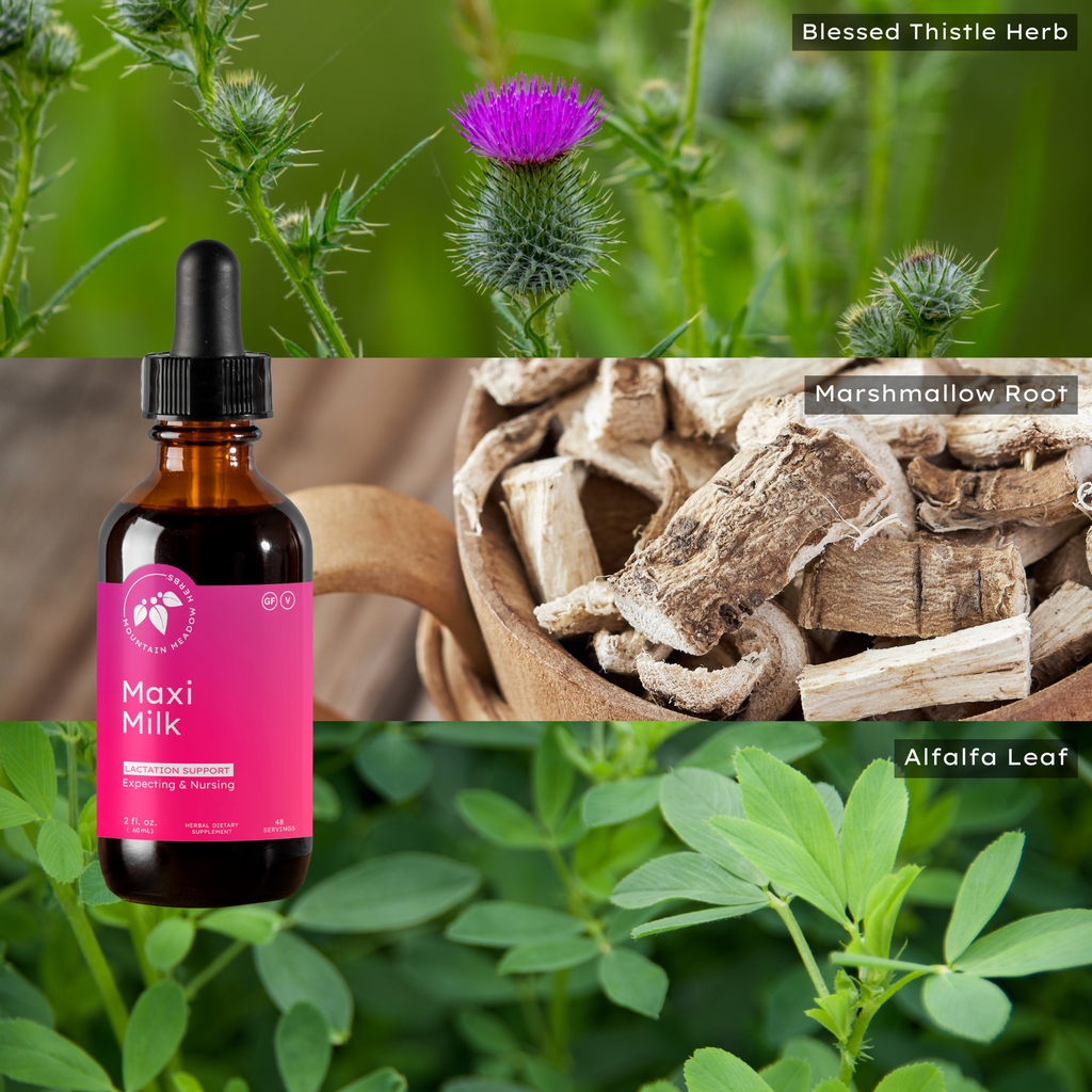 Maxi Milk Lactation Aid 2oz | Mountain Meadow Herbs