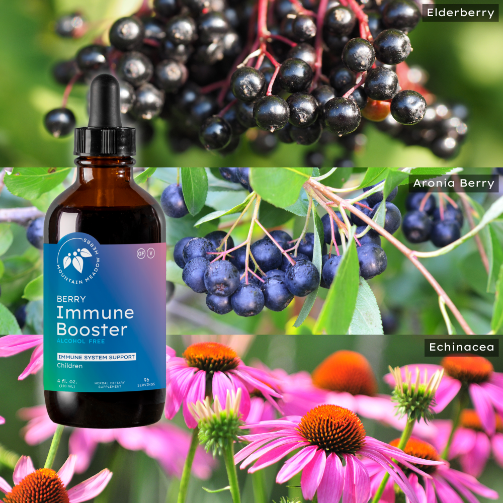 Berry Immune-Booster (4 oz.)