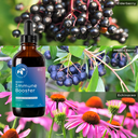 Berry Immune-Booster (4 oz.)