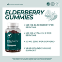 Elderberry Gummies (60 ct)