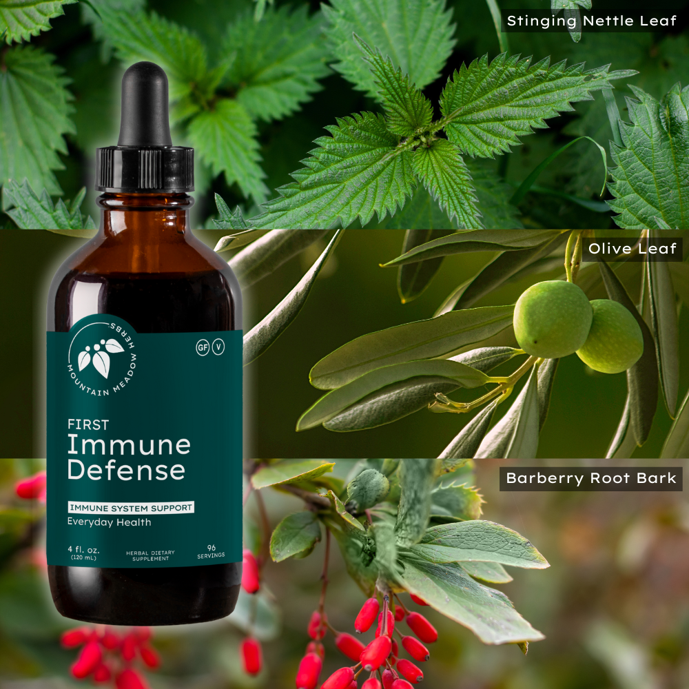 First Immune Defense Liquid 4 oz | Mountain Meadow Herbs