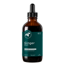 Ginger Root Extract (4 oz.)