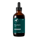 Mullein Leaf Extract (4 oz.)